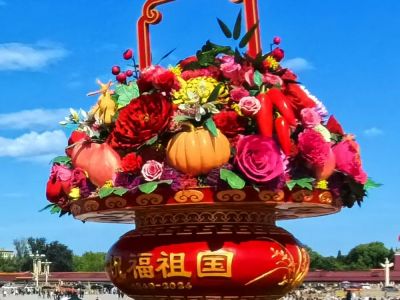 奋进强国路 阔步新征程