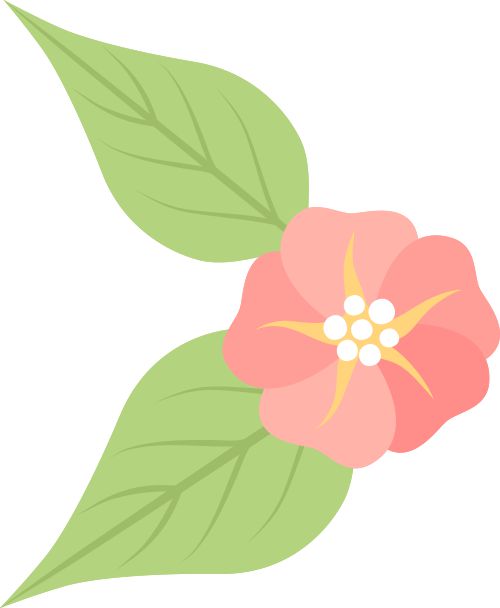 纯干货！复试秘籍看这里~